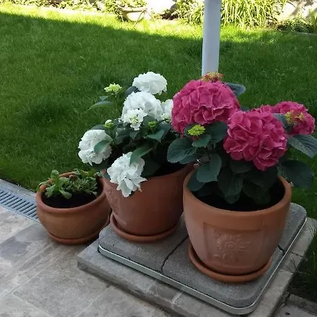 Studio In With Terrace, Air Conditioning, Wifi 4778-3 Promajna